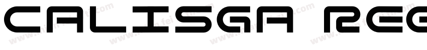 Calisga Regular字体转换